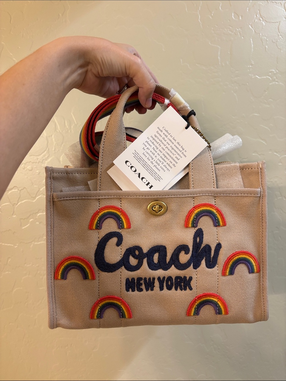 Coach Rainbow Embroidery cargo tote
